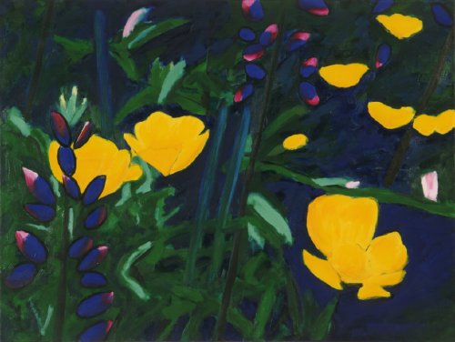 Buttercups and Lupines, size 37 Kb